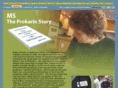 msprokarinstory.com