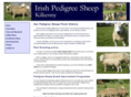 pedigreesheep.com