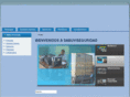 sabuviseguridad.com