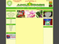 ahmadgrocery.com