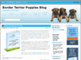 borderterrierpuppiesblog.com