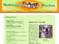 bulldog-photos.com