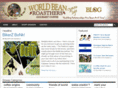 worldbeanroasthers.com