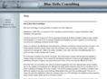 blue-helix-consulting.com