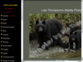 myalaskaphotos.com