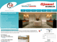 ojaswiepoxy.com