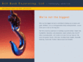 backexcavating.com