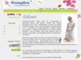 hoangdien.net