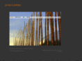 johnflemingartist.com