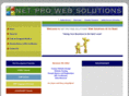 netprowebsolutions.com