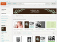 vellumdesigns.com