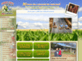 amazingmaizemaze.com
