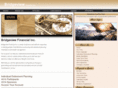 bridgeviewfinancial.com