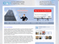 businessconsultingprofessional.com