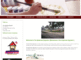 the-american-daycare.com
