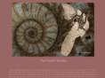 thefossilstudio.com