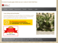 centrodiromabedandbreakfast.it