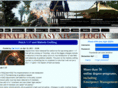 ffxivinfo.com