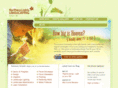 northernlightslandscaping.com
