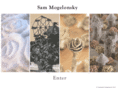 sammogelonsky.com