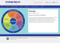 synergyrpt.org