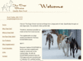 thedogschoice.com