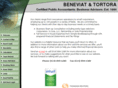 bntcpa.com