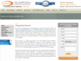 chicagomoldremoval.com