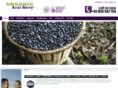 acaiberryindia.com