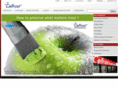 celfrost.com
