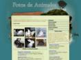 fotos-animales.com.ar