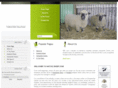 nativesheep.com