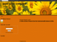 sweetsadiesontheroad.com