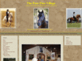 thepasofinovillage.com