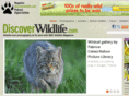 bbcwildlifemagazine.com