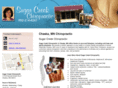 chiropractorchaska.com