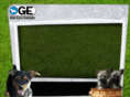 gleneyrekennels.com
