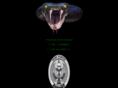 inpenterprises.com
