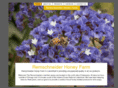 remschneiderhoneyfarm.com