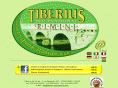 tiberius-international.com