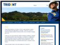 tridentgoldcorp.com