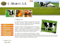 calvarezsa.com
