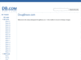 dougbrace.com