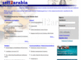 sell2arabia.com