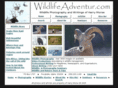 wildlifeadventure.org