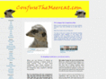 1stsolutions4business.com