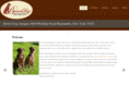 browndogantiques.com