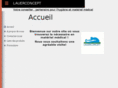 lauerconcept.com