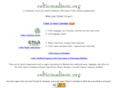 celticmadison.org