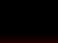cocktail-animations.com